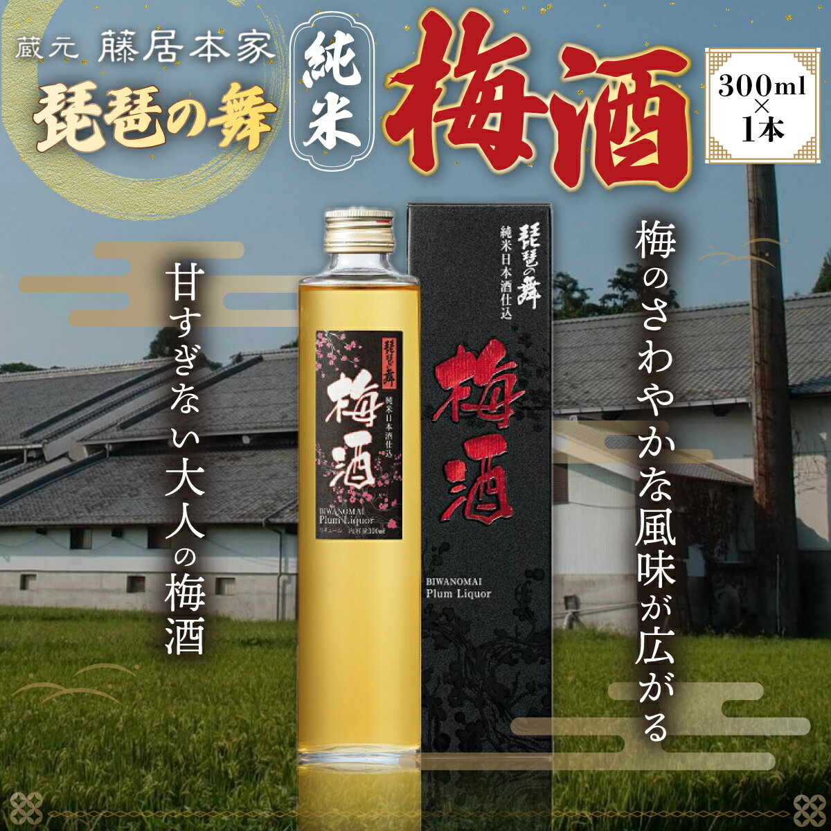 【ふるさと納税】琵琶の舞　純米梅酒　300ml AJ01