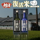 【ふるさと納税】藤居本家 旭日 複活米 720ml×2本 日本酒　AJ08