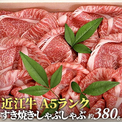 【ふるさと納税】近江牛A5ランクすき焼き・しゃぶしゃぶ【納期1〜2カ月】　【牛肉・お肉】