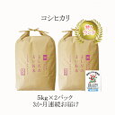 【ふるさと納税】令和元年産よしだのよいお米近江米コシヒカリ　10kg×3回　【定期便・お米】