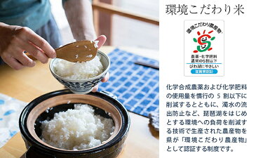 【ふるさと納税】【特Aランク】令和元年産よしだのよいお米近江米コシヒカリ　10kg×3回　【定期便・お米】