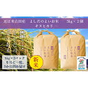 【ふるさと納税】令和元年産よしだのよいお米 近江米キヌヒカリ　10kg×3回　【定期便・お米】