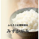 【ふるさと納税】令和2年産ふるさと応援特別米 定期配送10回
