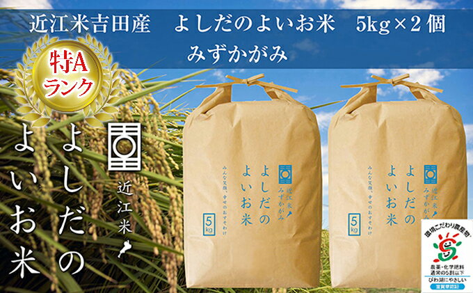 【ふるさと納税】令和5年産　よしだのよいお米 近江米みずかがみ5kg×2　【お米】