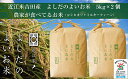 【ふるさと納税】令和5年産　よしだのよいお米 近江米農家が食べてるお米　5kg×2　【ブレンド米】 2