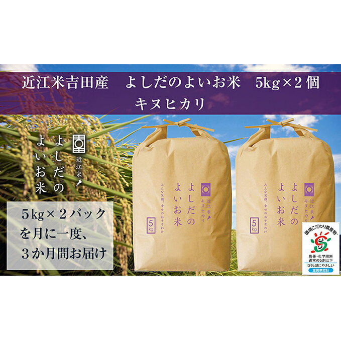 [定期便]令和5年産 よしだのよいお米 近江米キヌヒカリ 10kg×3回 [定期便・お米・キヌヒカリ・米]