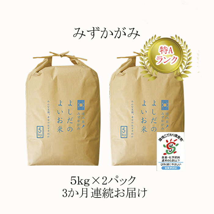 [定期便]米 定期便 3ヶ月 近江米 みずかがみ 10kg 令和5年 よしだのよいお米 お米 こめ コメ おこめ 白米 3回 お楽しみ [定期便・ 豊郷町 ]