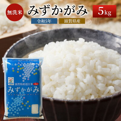 楽天ふるさと納税　【ふるさと納税】令和5年産ふるさと応援特別米みずかがみ（BG無洗米）5kg　【米・無洗米・お米】　お届け：納期指定不可