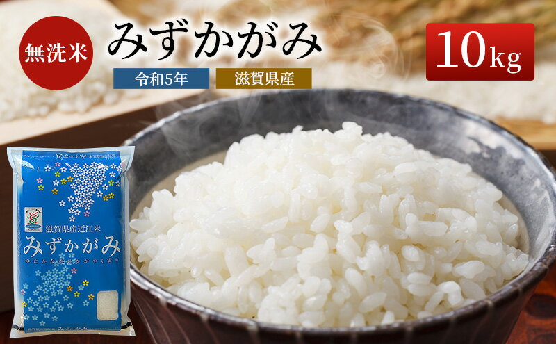 【ふるさと納税】米 みずかがみ BG無洗米 10kg 令和5年 ふるさと応援特別米 無洗米 お米 こめ コメ おこめ 白米　【米・無洗米・お米】　お届け：ご入金の翌月下旬に出荷いたします・納期指定不可