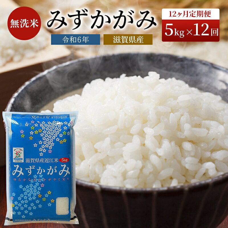 1位! 口コミ数「9件」評価「4.56」米 定期便 12ヶ月 みずかがみ BG無洗米 5kg 令和5年 ふるさと応援特別米 無洗米 お米 こめ コメ おこめ 白米 12回 お楽しみ･･･ 