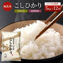 米 定期便 12ヶ月 こしひかり BG無洗米 5kg 令和5年 ふるさと応援特別米 無洗米 お米 こめ コメ おこめ 白米 コシヒカリ 12回 お楽しみ　　お届け：ご入金の翌月下旬に出荷いたします・納期指定不可