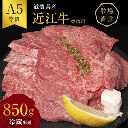 【近江牛 西川畜産】A5ランク雌牛 焼肉用 約850g （モモ・カタ・ウデ・バラ系等）　【 ふるさと納税 近江牛 お肉 牛肉 焼肉 バーベキュー モモ バラ(カルビ) 】　お届け：繁忙期に限り納期最長3～5ヶ月。納期指定不可