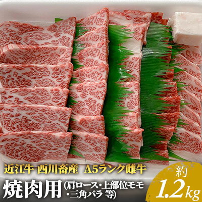 近江牛 【ふるさと納税】【近江牛 西川畜産】A5ランク雌牛 焼肉用 約1.2kg （肩ロース・上部位モモ・三角バラ等）　【 ふるさと納税 近江牛 お肉 牛肉 焼肉 バーベキュー ロース 】　お届け：繁忙期に限り納期最長3～5ヶ月。納期指定不可