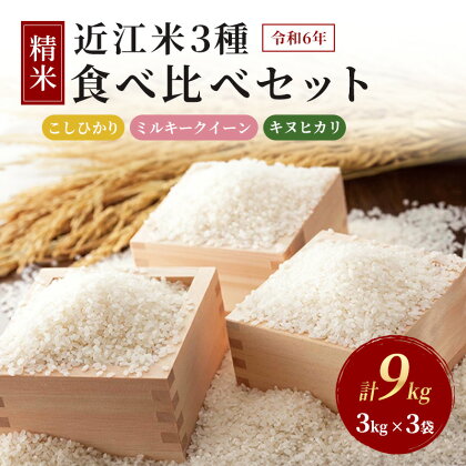 令和5年産豊かな郷の近江米　3種食べ比べセット　【お米・コシヒカリ・米・お米・ミルキークイーン・お米】