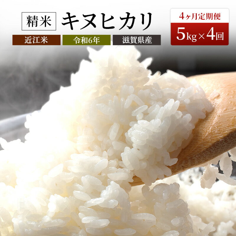 【ふるさと納税】【令和5年度新米】【定期便】令和5年産新米豊かな郷の近江米（キヌヒカリ）5kg×4ヶ月連続　【定期便・お米・キヌヒカリ・4ヶ月・4回・箱入り】
