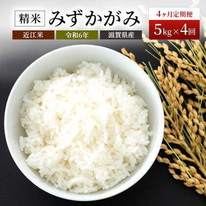 【令和5年度新米】【定期便】令和5年産新米豊かな郷の近江米（みずかがみ）5kg×4ヶ月連続　【定期便・お米・みずかがみ・4ヶ月・4回・箱入り】