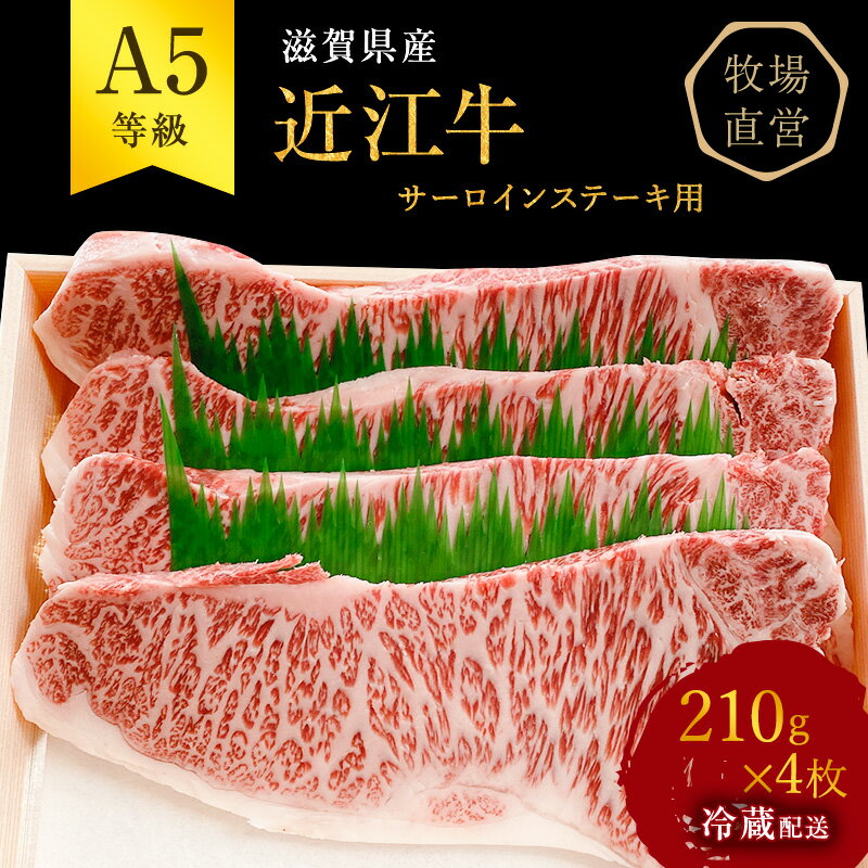 [近江牛 西川畜産]A5ランク雌牛 サーロインステーキ用 約210g×4枚 [ ふるさと納税 ステーキ a5 近江牛 お肉 牛肉 サーロイン A5ランク ] お届け:繁忙期に限り納期最長3〜5ヶ月。納期指定不可