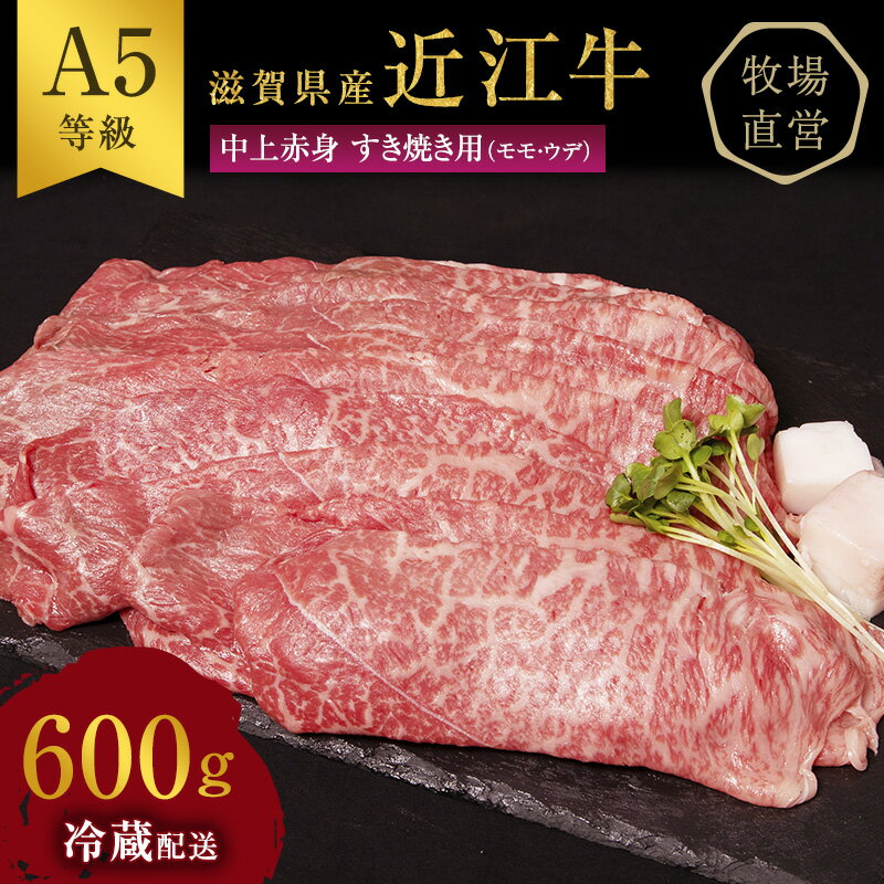 近江牛 すき焼き 中上赤身 約600g A5 雌牛 西川畜産 牛肉 黒毛和牛 すきやき すき焼き肉 すき焼き用 肉 お肉 牛 和牛 [ 豊郷町 ] お届け:繁忙期に限り納期最長3〜5ヶ月。納期指定不可