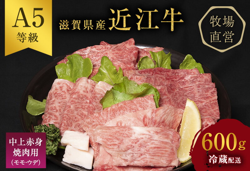 【ふるさと納税】近江牛 焼肉 中上赤身焼肉用 約600g A5 雌牛 西川畜産 牛肉 黒毛和牛 焼き肉 焼肉用 バーベキュー 赤身 肉 お肉 牛 和牛　【 豊郷町 】　お届け：繁忙期に限り納期最長3～5ヶ月。納期指定不可