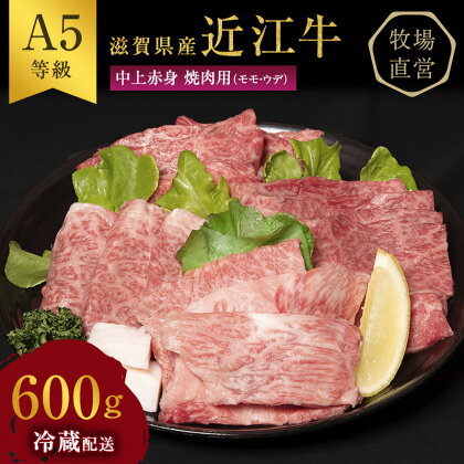 近江牛 焼肉 中上赤身焼肉用 約600g A5 雌牛 西川畜産 牛肉 黒毛和牛 焼き肉 焼肉用 バーベキュー 赤身 肉 お肉 牛 和牛　【 豊郷町 】　お届け：繁忙期に限り納期最長3～5ヶ月。納期指定不可