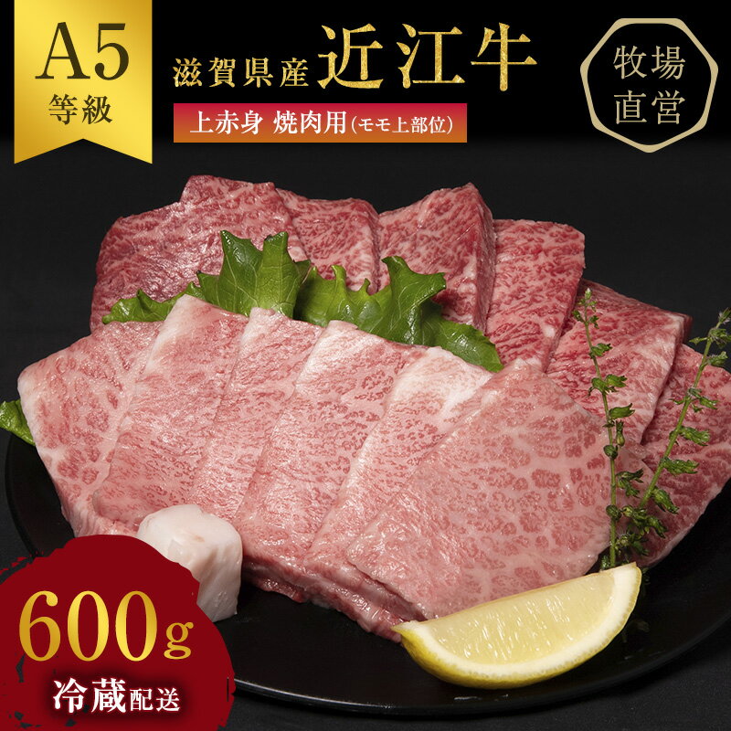 [近江牛 西川畜産]A5ランク雌牛 上赤身焼肉用 約600g [ ふるさと納税 近江牛 お肉 牛肉 焼肉 バーベキュー モモ 焼肉用 A5ランク ] お届け:繁忙期に限り納期最長3〜5ヶ月。納期指定不可