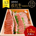 近江牛 特選 焼肉 約1.2kg A5 雌牛 西川畜産 牛肉 黒毛和牛 焼き肉 焼肉用 バーベキュー 肉 お肉 牛 和牛 サーロインステーキ　　お届け：繁忙期に限り納期最長3～5ヶ月。納期指定不可