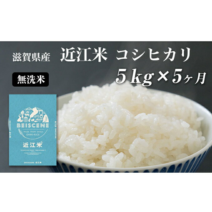 【ふるさと納税】米 定期便 5ヶ月 近江米 コシヒカリ 無洗米 5kg 令和5年 滋賀県豊郷町産 お米 こめ コメ おこめ 白米 5回 お楽しみ　【定期便・ 豊郷町 】　お届け：ご入金の翌月中旬に出荷いたします