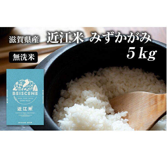 令和5年産滋賀県豊郷町産 近江米 みずかがみ 無洗米 5kg [お米・米・無洗米]