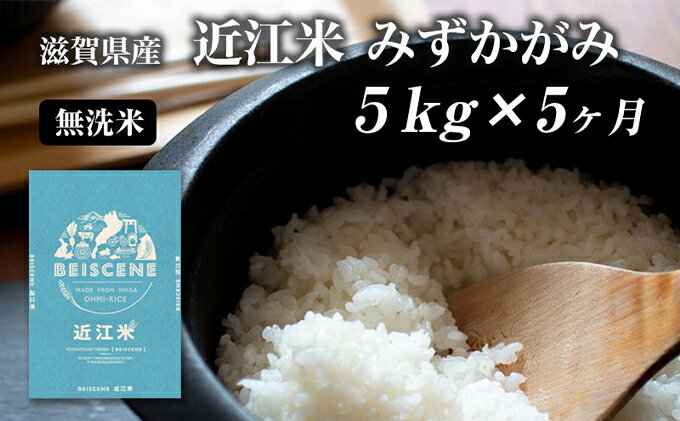 【ふるさと納税】米 定期便 5ヶ月 近江米 みずかがみ 無洗米 5kg 令和5年 滋賀県豊郷町産 お米 こめ コメ おこめ 白米 5回 お楽しみ　【定期便・ 豊郷町 】　お届け：ご入金の翌月中旬に出荷いたします