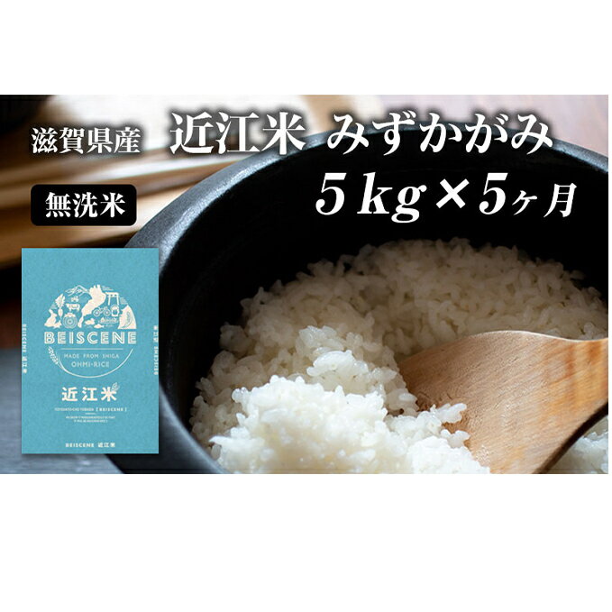 【ふるさと納税】米 定期便 5ヶ月 近江米 みずかがみ 無洗米 5kg 令和5年 滋賀県豊郷町産 お米 こめ ...