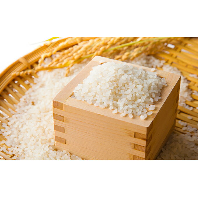 【ふるさと納税】令和6年環境こだわり近江米縁結び5kg（無洗米） お米 5kgのサムネイル