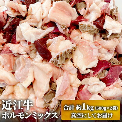 【ふるさと納税】近江牛ホルモンミックス　合計約1kg　【 ふるさと納税 近江牛 ホルモン お肉 もつ鍋 ホルモン 約1kg 牛肉炒め物 】　お届け：繁忙期は最長3か月。納期指定不可のサムネイル