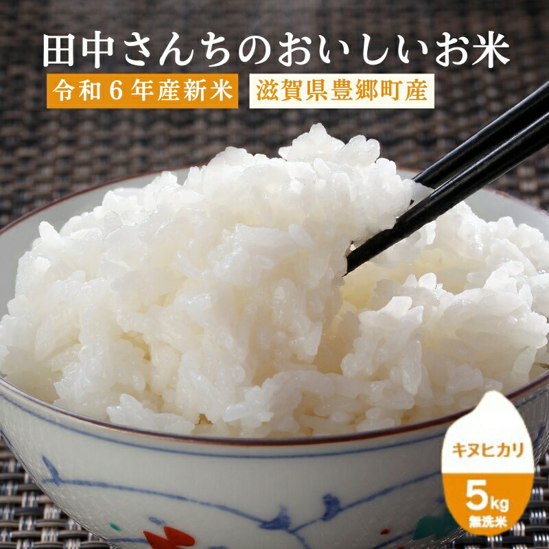 【ふるさと納税】令和5年産田中さんちのおいしいお米A　キヌヒカリ5kg（無洗米）　【お米・米・無洗米・滋賀県産】