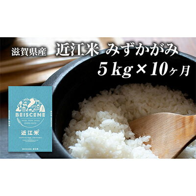 【令和5年度新米】令和5年産新米　滋賀県豊郷町産　近江米 みずかがみ　5kg×10ヶ月　【定期便・ お米 白米 ごはん ライス 主食 炭水化物 おにぎり 】　お届け：ご入金の翌月中旬に出荷いたします