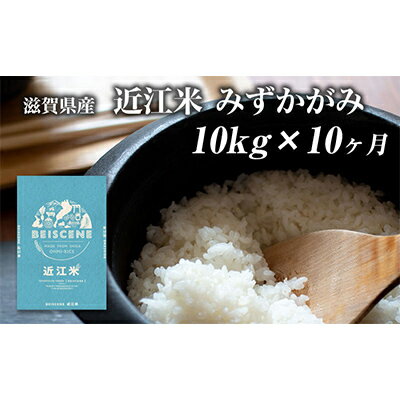 【令和5年度新米】令和5年産新米　滋賀県豊郷町産　近江米 みずかがみ　10kg×10ヶ月　【定期便・ お米 白米 ごはん ライス 主食 炭水化物 おにぎり 】　お届け：ご入金の翌月中旬に出荷いたします