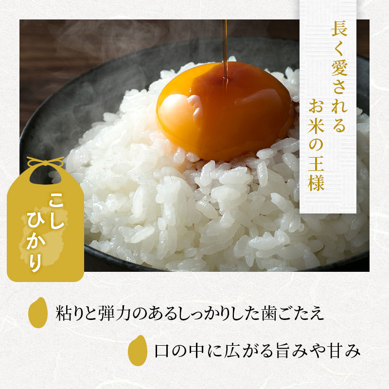 【ふるさと納税】近江米 コシヒカリ 米 5kg 10kg 内容が選べる！単品 定期便 令和7年産 令和8年産 新米 / 滋賀県産 近江米 こしひかり 米 定期 3ヶ月 6ヶ月 12ヶ月 令和7年 令和8年 お米 白米 ご飯 精米 選べる配送回数　お届け：2026年10月より順次発送 f254410-toyosato-10000618 滋賀県豊郷町 サンプル画像3