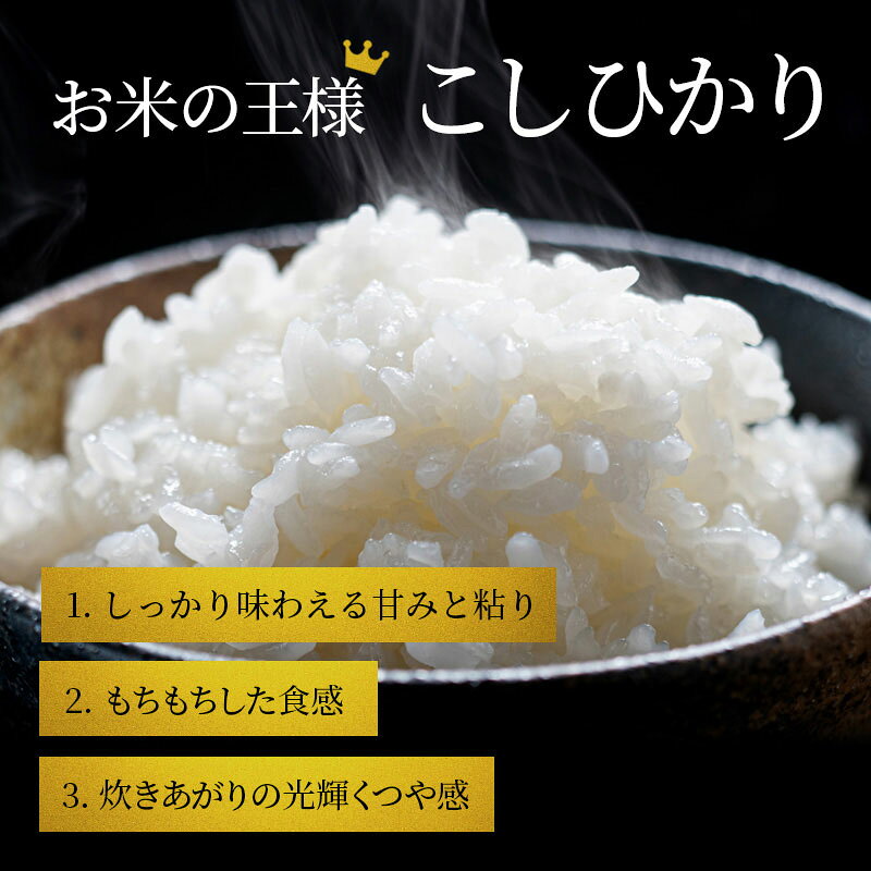 【ふるさと納税】【令和8年産】 先行予約 新米 こしひかり 5kg 3回定期便 令和8年産 定期便 米 精米 こめ コメ お米 ご飯 米 コシヒカリ 米定期便 3か月定期便 3ヶ月定期便 3回 3ヶ月 3か月 滋賀県 豊郷 豊郷町　お届け：2026年10月より順次発送