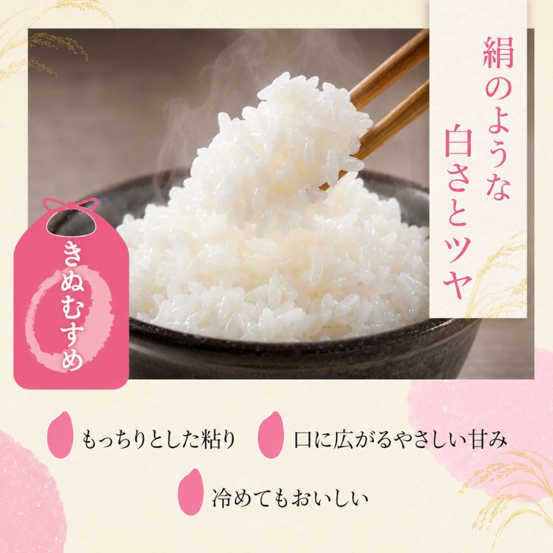 【ふるさと納税】【令和8年産】 先行予約 新米 きぬむすめ 5kg 3回定期便 令和8年産 定期便 米 精米 こめ コメ お米 ご飯 米 キヌムスメ 米定期便 3か月定期便 3ヶ月定期便 3回 3ヶ月 3か月 滋賀県 豊郷 豊郷町　お届け：2026年10月より順次発送 f254410-toyosato-10000629 滋賀県豊郷町 サンプル画像3