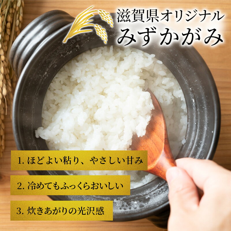 【ふるさと納税】【令和8年産】 先行予約 新米 みずかがみ 5kg 3回定期便 令和8年産 定期便 米 精米 こめ コメ お米 ご飯 米 ミズカガミ 米定期便 3か月定期便 3ヶ月定期便 3回 3ヶ月 3か月 滋賀県 豊郷 豊郷町　お届け：2026年10月より順次発送