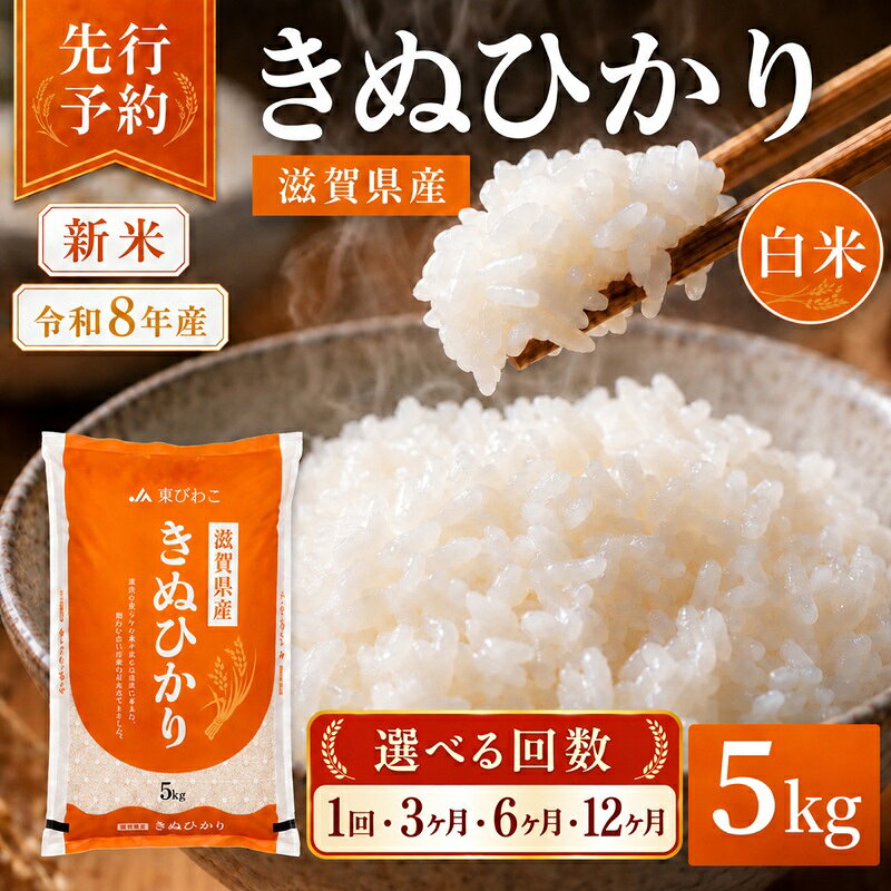 【ふるさと納税】【令和8年産】 米 キヌヒカリ 白米 5kg 先行予約 新米 きぬひかり 精米 こめ コメ お米 ご飯 5キロ 度産 令和八年 令和八年産 滋賀県 豊郷町　お届け：2026年10月より順次発送