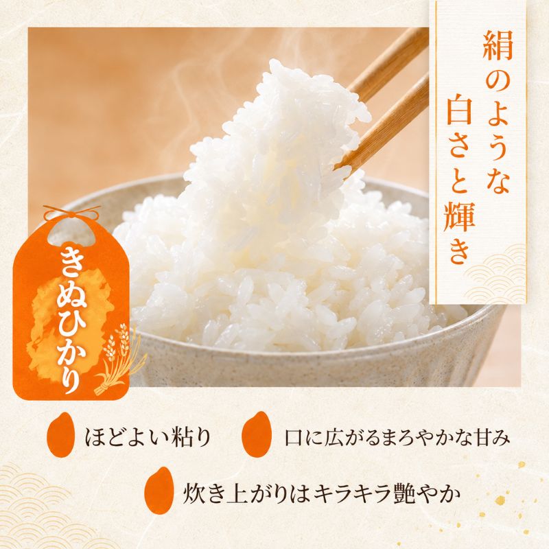 【ふるさと納税】令和8年産 新米 近江米 きぬひかり 米 5kg 10kg 内容が選べる！単品 定期便 / 滋賀県産 近江米 キヌヒカリ 米 定期 3ヶ月 6ヶ月 12ヶ月 令和8年 お米 白米 ご飯 精米 選べる配送回数　お届け：2026年10月より順次発送 f254410-toyosato-10000621 滋賀県豊郷町 サンプル画像3