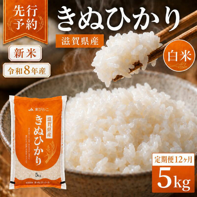 【ふるさと納税】【令和8年産】 米 定期便 キヌヒカリ 白米 5kg 先行予約 新米 きぬひかり 12回定期便 精米 こめ コメ お米 ご飯 米定期便 12か月定期便 12ヶ月定期便 12回 12ヶ月 12か月 滋賀県 豊郷町　お届け：2026年10月より順次発送
