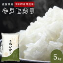 【ふるさと納税】令和5年産甲良米「キヌヒカリ」白米 5kg　【お米】