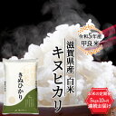 24位! 口コミ数「0件」評価「0」令和5年産甲良米「キヌヒカリ」白米 5kg×10ヵ月　【定期便・お米・定期便】