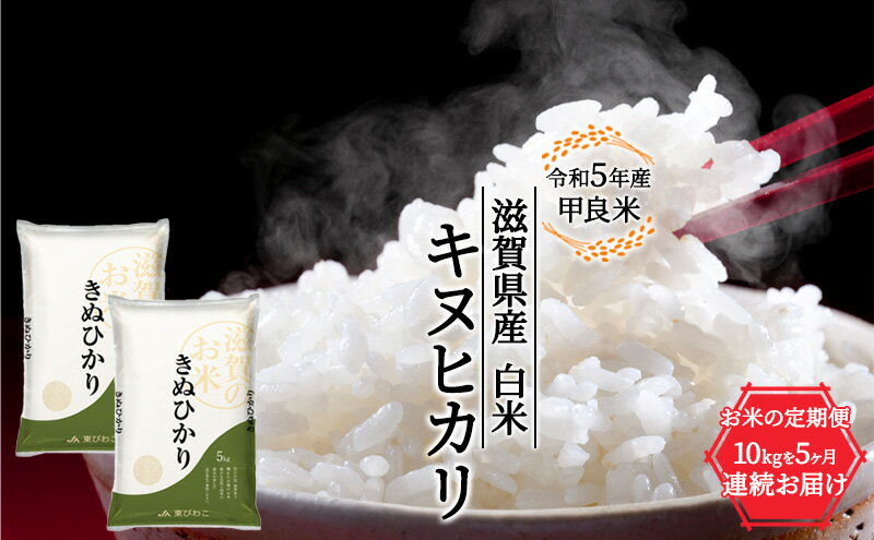 【ふるさと納税】【定期便】令和5年産甲良米「キヌヒカリ」白米　10kg×5ヵ月（隔月）　【定期便・お米】