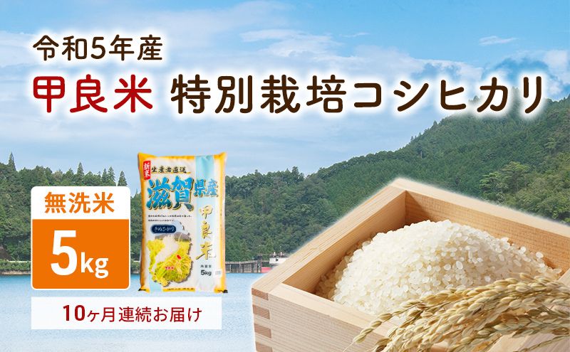 【ふるさと納税】【令和5年度新米】【新米】甲良米 特別栽培コシヒカリ 無洗米 5kg 10ヶ月連続　【定期便・ お米 ライス ご飯 ブランド米 銘柄米 お弁当 おにぎり 直送 主食 炭水化物 特別栽培米 時短 】　お届け：令和5年10月より順次お届けいたします。