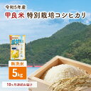 3位! 口コミ数「0件」評価「0」【令和5年度新米】【新米】甲良米 特別栽培コシヒカリ 無洗米 5kg 10ヶ月連続　【定期便・ お米 ライス ご飯 ブランド米 銘柄米 お弁･･･ 