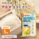 甲良米 キヌヒカリ 無洗米 5kg 5ヶ月連続お届け　　お届け：令和5年10月より順次お届けいたします。