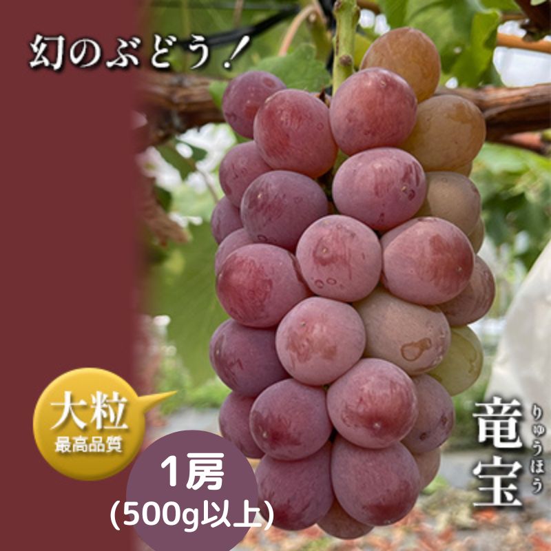 【ふるさと納税】【令和6年産予約】幻の赤ブドウ竜宝1房 500g以上 【 果物 フルーツ デザート 食後 産地直送 香りが強い 甘さ 酸味 バランス 樹上完熟 夏 旬 夏の果物 】 お届け：2024年8月上…