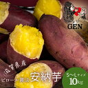 【ふるさと納税】GENの熟成 安納芋 (生芋)S~Lサイズ 10kg さつまいも 野菜 焼き芋 ふかし芋 大学芋 ピロール農法 天ぷら サツマイモご飯 食材 グルメ  お届け:2025年12月15日~2026年5月15日